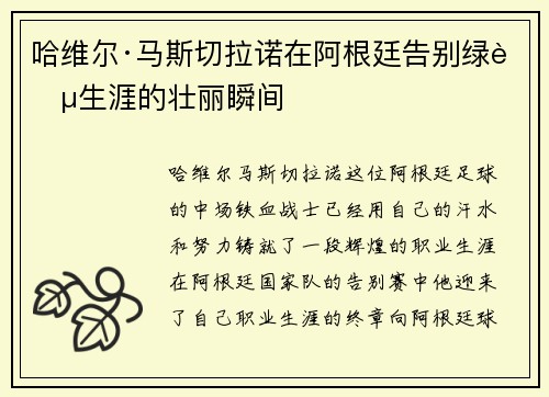 哈维尔·马斯切拉诺在阿根廷告别绿茵生涯的壮丽瞬间
